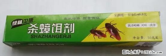 【紧急提醒】如果有“防疫站工作人员”上门灭杀蟑螂，请立刻报警 - 灌水专区 - 江门生活社区 - 江门28生活网 jm.28life.net