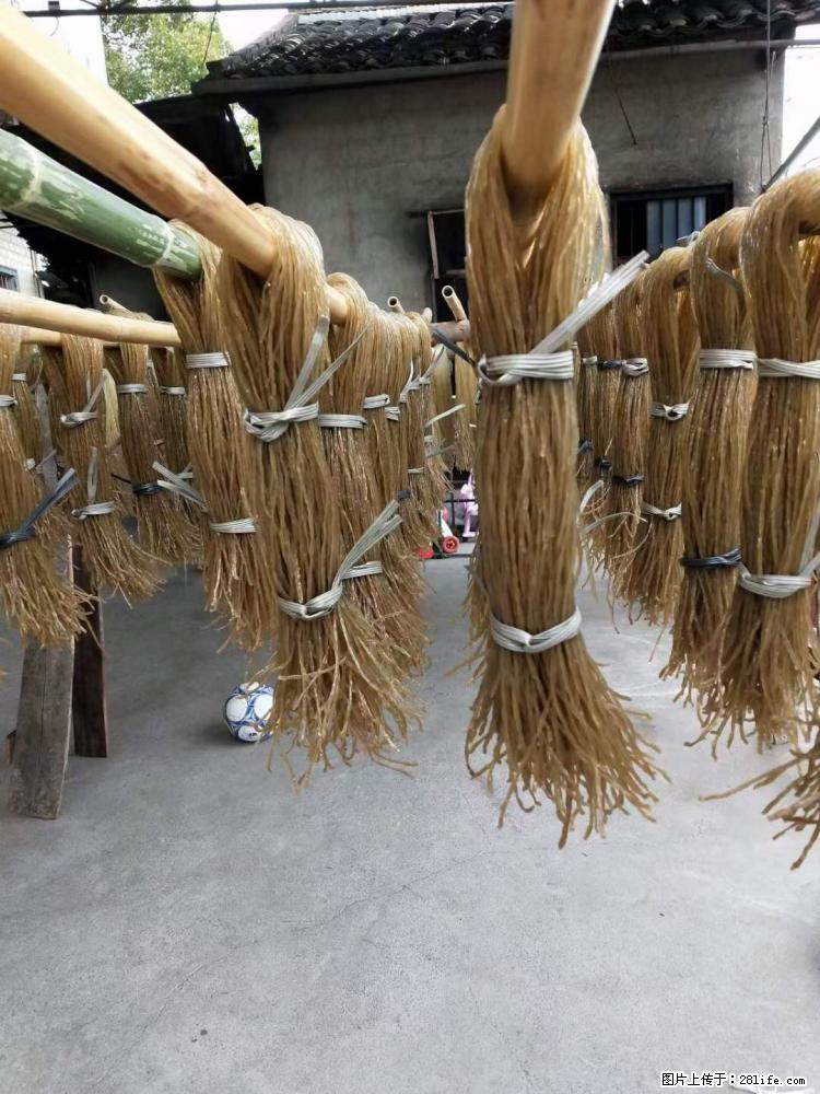 【灌阳正宗红薯粉】美女家里自己做的，干净卫生，假一赔十，价格合理，抢购电话：13737312895 - 美食天地 - 江门生活社区 - 江门28生活网 jm.28life.net
