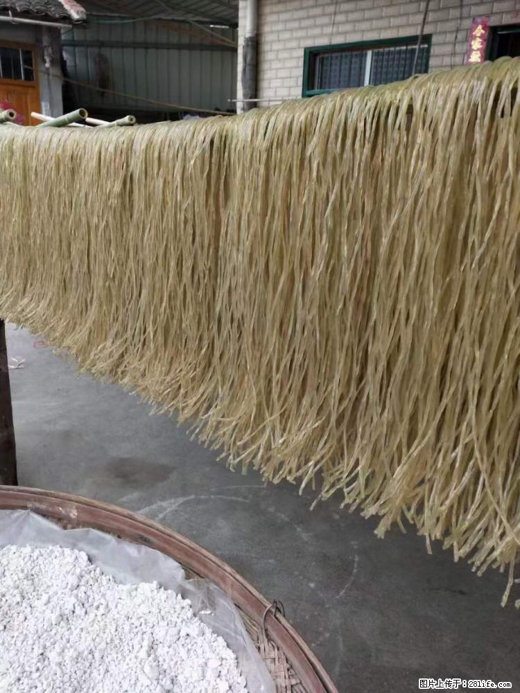 【灌阳正宗红薯粉】美女家里自己做的，干净卫生，假一赔十，价格合理，抢购电话：13737312895 - 美食天地 - 江门生活社区 - 江门28生活网 jm.28life.net