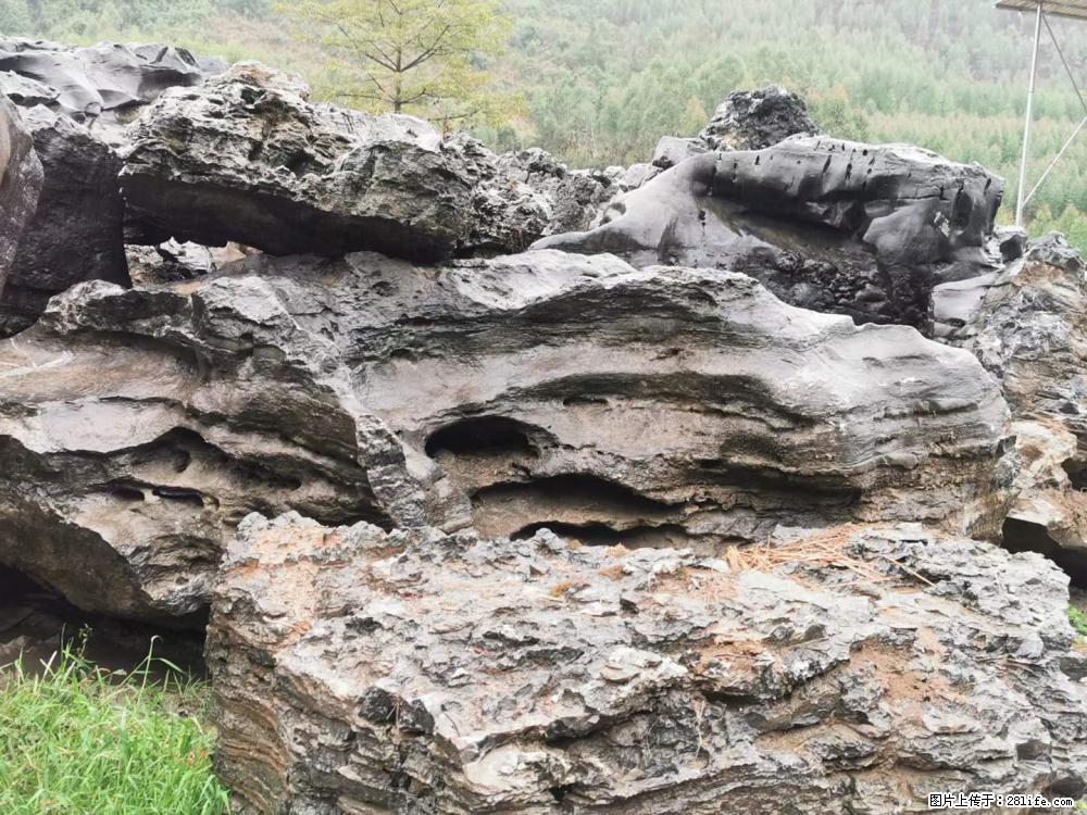 风景石、假山石大量有货，有需要的欢迎联系 - 新手上路 - 江门生活社区 - 江门28生活网 jm.28life.net
