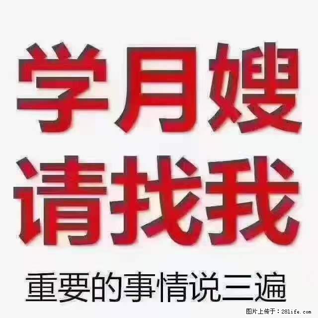 为什么要学习月嫂，育婴师？ - 新手上路 - 江门生活社区 - 江门28生活网 jm.28life.net