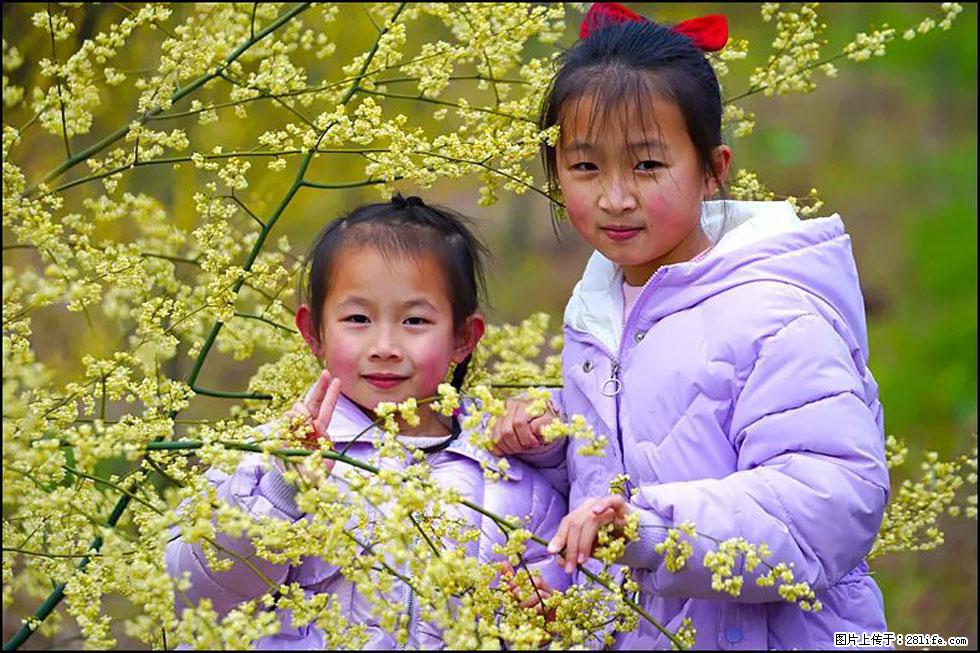 【春天，广西桂林灌阳县向您发出邀请！】米珠山前有片山苍子花在飘香 - 游山玩水 - 江门生活社区 - 江门28生活网 jm.28life.net