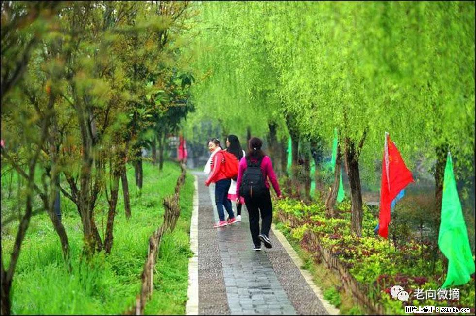 【春天，广西桂林灌阳县向您发出邀请！】江口老街又逢春 - 游山玩水 - 江门生活社区 - 江门28生活网 jm.28life.net