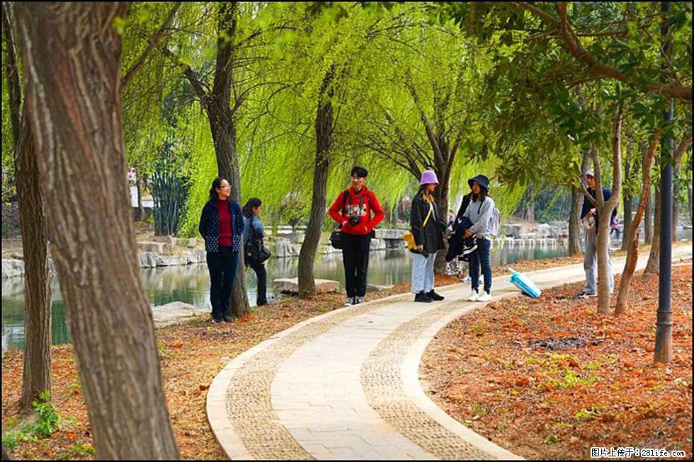 【春天，广西桂林灌阳县向您发出邀请！】江口老街又逢春 - 游山玩水 - 江门生活社区 - 江门28生活网 jm.28life.net