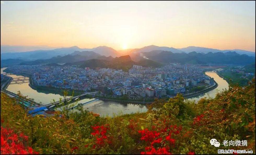 【春天，广西桂林灌阳县向您发出邀请！】登麒麟山，相约映山红 - 游山玩水 - 江门生活社区 - 江门28生活网 jm.28life.net