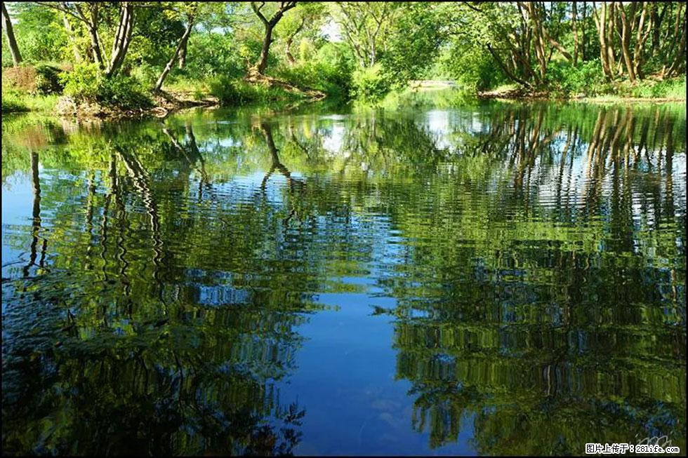 【春天，广西桂林灌阳县向您发出邀请！】熊家寨湿地公园 - 游山玩水 - 江门生活社区 - 江门28生活网 jm.28life.net