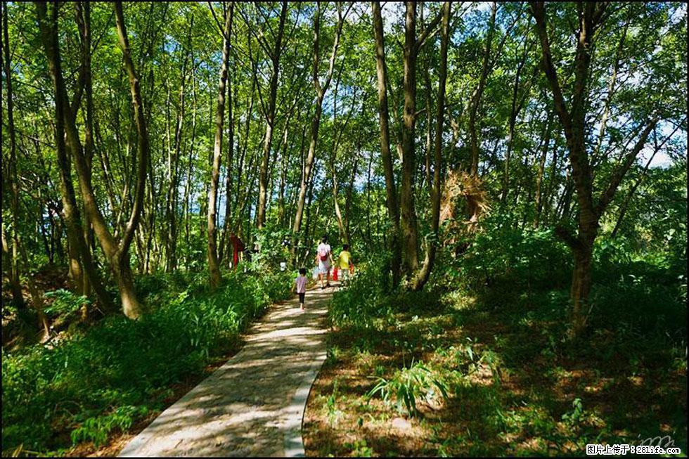 【春天，广西桂林灌阳县向您发出邀请！】熊家寨湿地公园 - 游山玩水 - 江门生活社区 - 江门28生活网 jm.28life.net