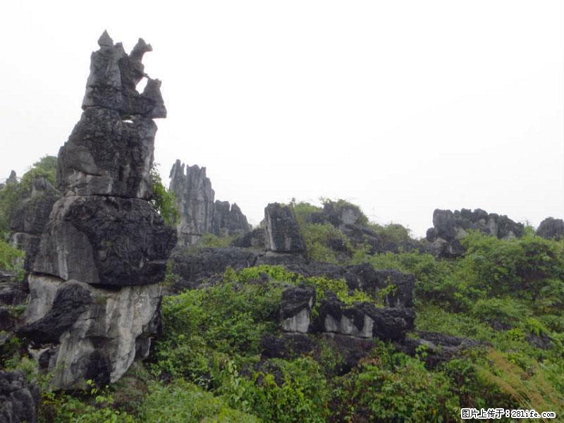 桂林旅游名城景点：灌阳文市石林 - 游山玩水 - 江门生活社区 - 江门28生活网 jm.28life.net
