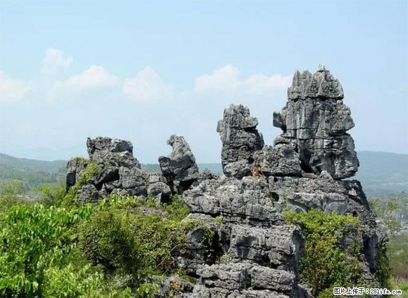 桂林旅游名城景点：灌阳文市石林 - 游山玩水 - 江门生活社区 - 江门28生活网 jm.28life.net