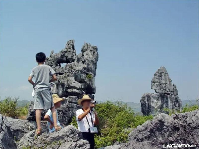 桂林旅游名城景点：灌阳文市石林 - 游山玩水 - 江门生活社区 - 江门28生活网 jm.28life.net