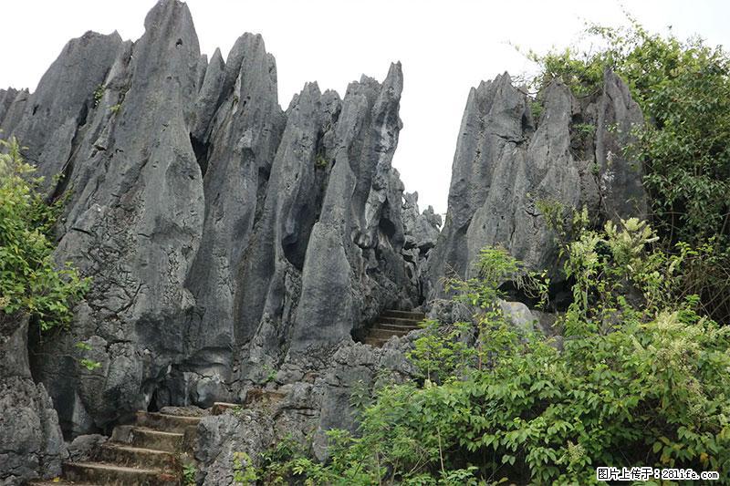 桂林旅游名城景点：灌阳文市石林 - 游山玩水 - 江门生活社区 - 江门28生活网 jm.28life.net