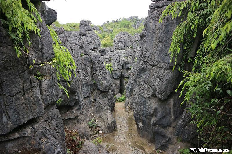 桂林旅游名城景点：灌阳文市石林 - 游山玩水 - 江门生活社区 - 江门28生活网 jm.28life.net