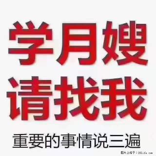 为什么要学习月嫂，育婴师？ - 江门28生活网 jm.28life.net