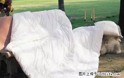 被子有异味？只要这样做，比晒太阳还强100倍！ - 家居生活 - 江门生活社区 - 江门28生活网 jm.28life.net