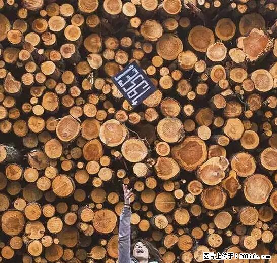 辞掉工作周游世界？现在他们在洗厕所…… - 游山玩水 - 江门生活社区 - 江门28生活网 jm.28life.net