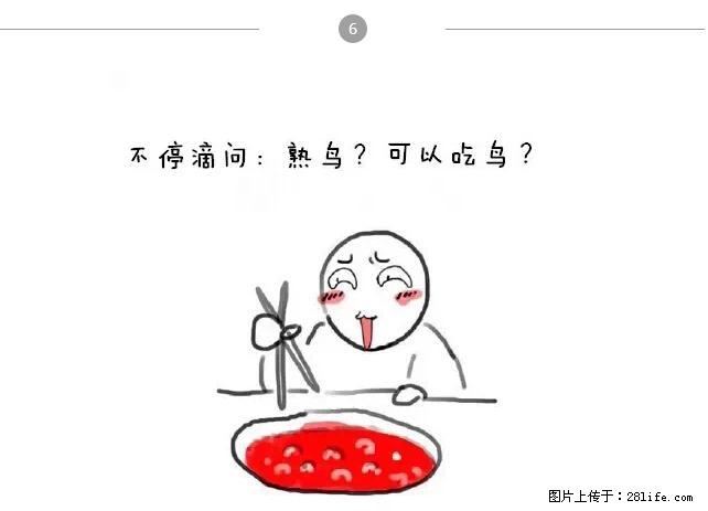 千万不要和这9种哈卵一起吃火锅！ - 美食天地 - 江门生活社区 - 江门28生活网 jm.28life.net