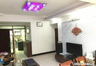 比邻天鹅湾小学，东海花园，精装3房，90方，仅租1600元 - 江门28生活网 jm.28life.net