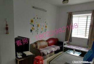 双龙广场 电梯9楼 家电齐 一房一厅 - 江门28生活网 jm.28life.net