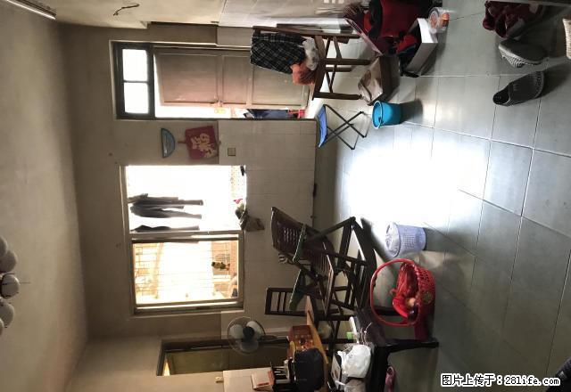 滨港御城旁白石新村3房，低层，敬请拨打抢房热线 - 房屋出租 - 房屋租售 - 江门分类信息 - 江门28生活网 jm.28life.net