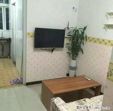 笋盘，双龙广场附近1房1厅电梯房出租，1300可拎包入住！ - 房屋出租 - 房屋租售 - 江门分类信息 - 江门28生活网 jm.28life.net