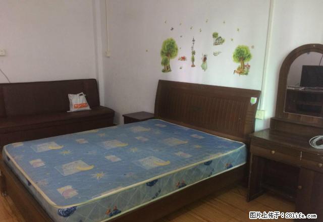 (单间出租)购书中心附近 朝江路 超大一房一厅 家电齐全 有个大阳台 - 房屋出租 - 房屋租售 - 江门分类信息 - 江门28生活网 jm.28life.net