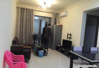 江海碧桂园精装修3房 电梯房 家电齐全 拎包入住！天鹅湾对面 - 江门28生活网 jm.28life.net