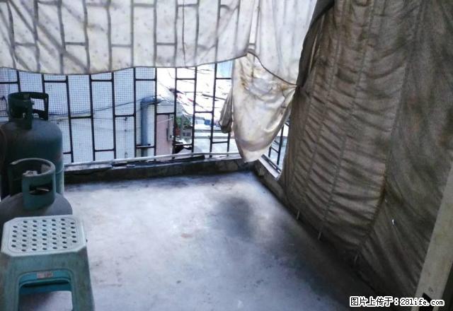 真实房源 中心南路4楼独立大套间全齐家电 800元 - 房屋出租 - 房屋租售 - 江门分类信息 - 江门28生活网 jm.28life.net