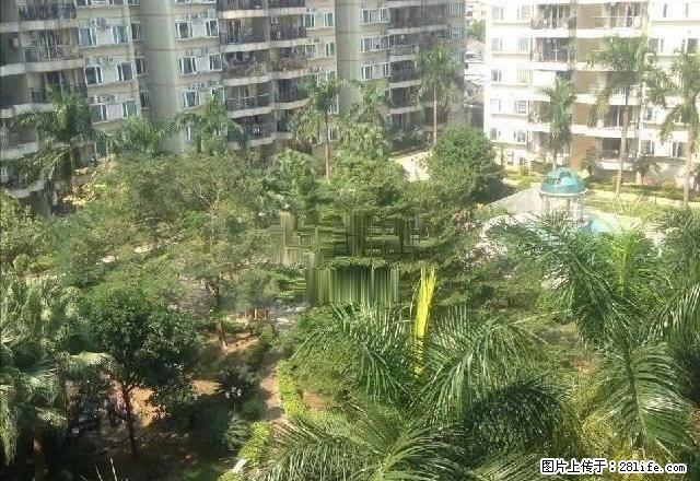 清爽大户型，齐全家私，双龙广场 2800元 3室2厅2卫 普 - 房屋出租 - 房屋租售 - 江门分类信息 - 江门28生活网 jm.28life.net