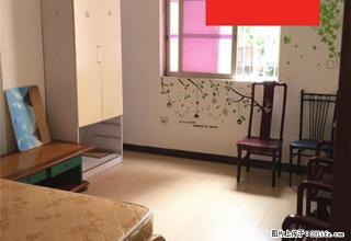 东华路购书中心后面兴华苑靓装修空调洗衣机套间700元 - 江门28生活网 jm.28life.net