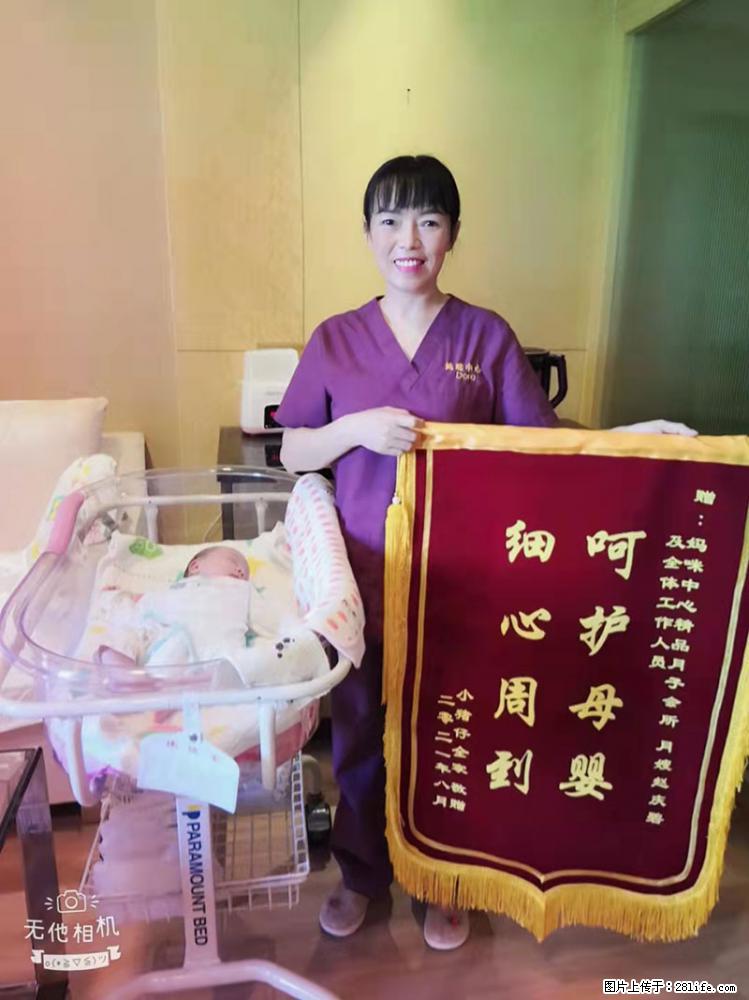 上海高端月子会所招新手月嫂，零基础带教，包吃住 - 职场交流 - 江门生活社区 - 江门28生活网 jm.28life.net