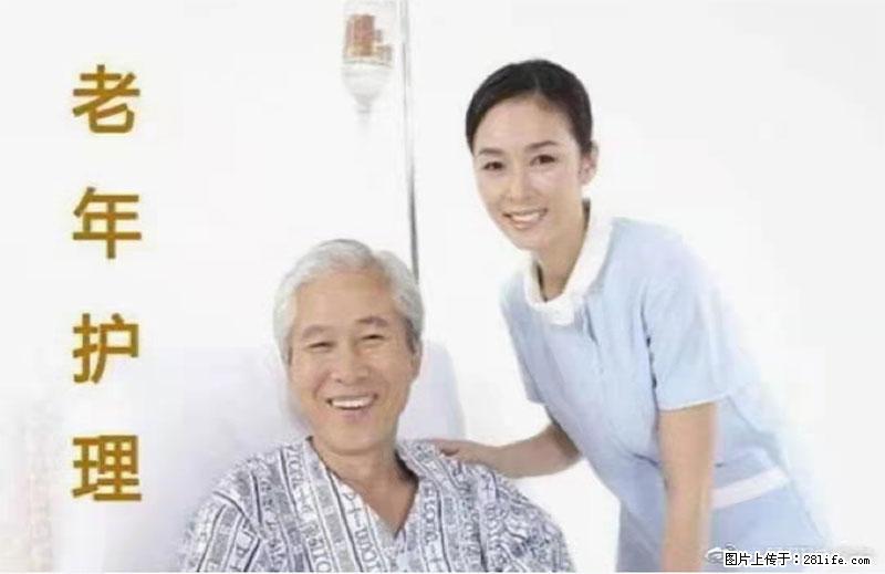 上海国企养老院，星级酒店环境，招聘养老护工 - 职场交流 - 江门生活社区 - 江门28生活网 jm.28life.net