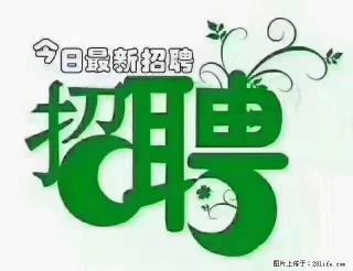 【招聘摄像师】待遇：试用期6000元/月，转正7000元/月+五险一金+餐补+节日福利+奖金 - 江门28生活网 jm.28life.net