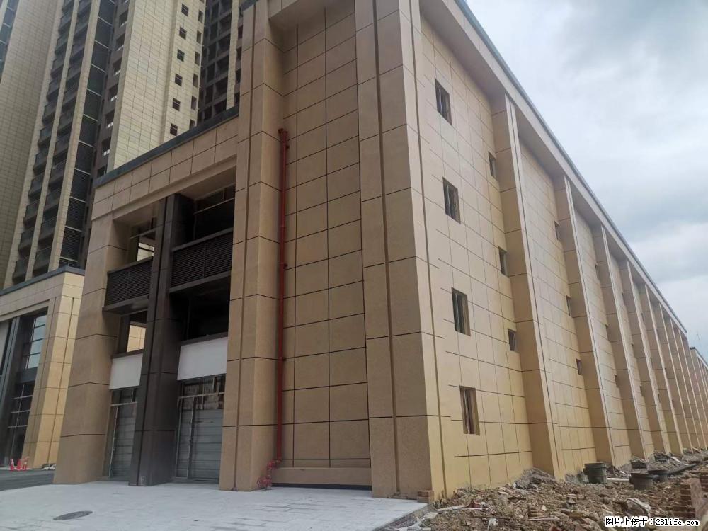 【广西三象建筑安装工程有限公司】外墙涂料工程 - 新手上路 - 江门生活社区 - 江门28生活网 jm.28life.net