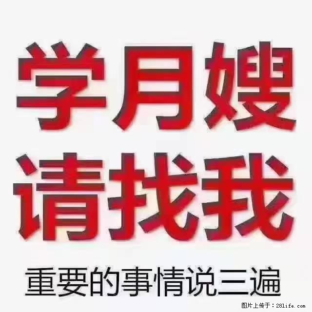 【招聘】月嫂，上海徐汇区 - 职场交流 - 江门生活社区 - 江门28生活网 jm.28life.net