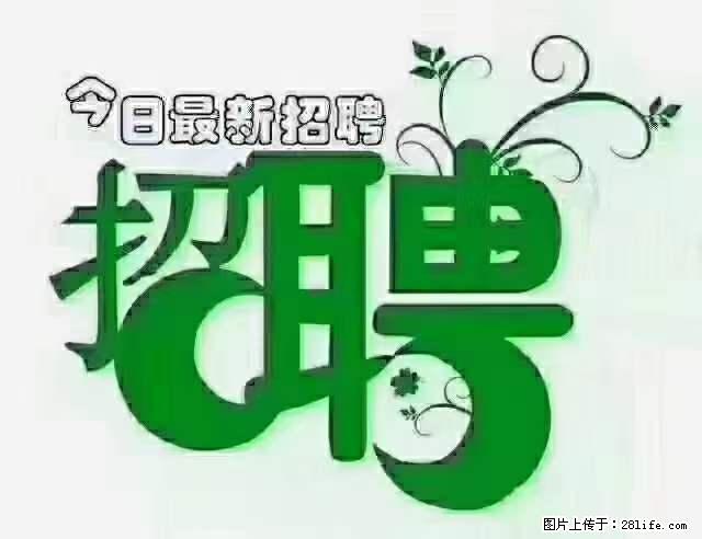 上海青浦区招仓管 - 职场交流 - 江门生活社区 - 江门28生活网 jm.28life.net