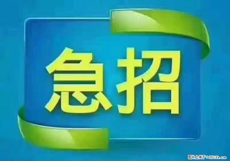 招财务，有会计证的，熟手会计1.1万底薪，上海五险一金，包住，包工作餐，做六休一 - 职场交流 - 江门生活社区 - 江门28生活网 jm.28life.net
