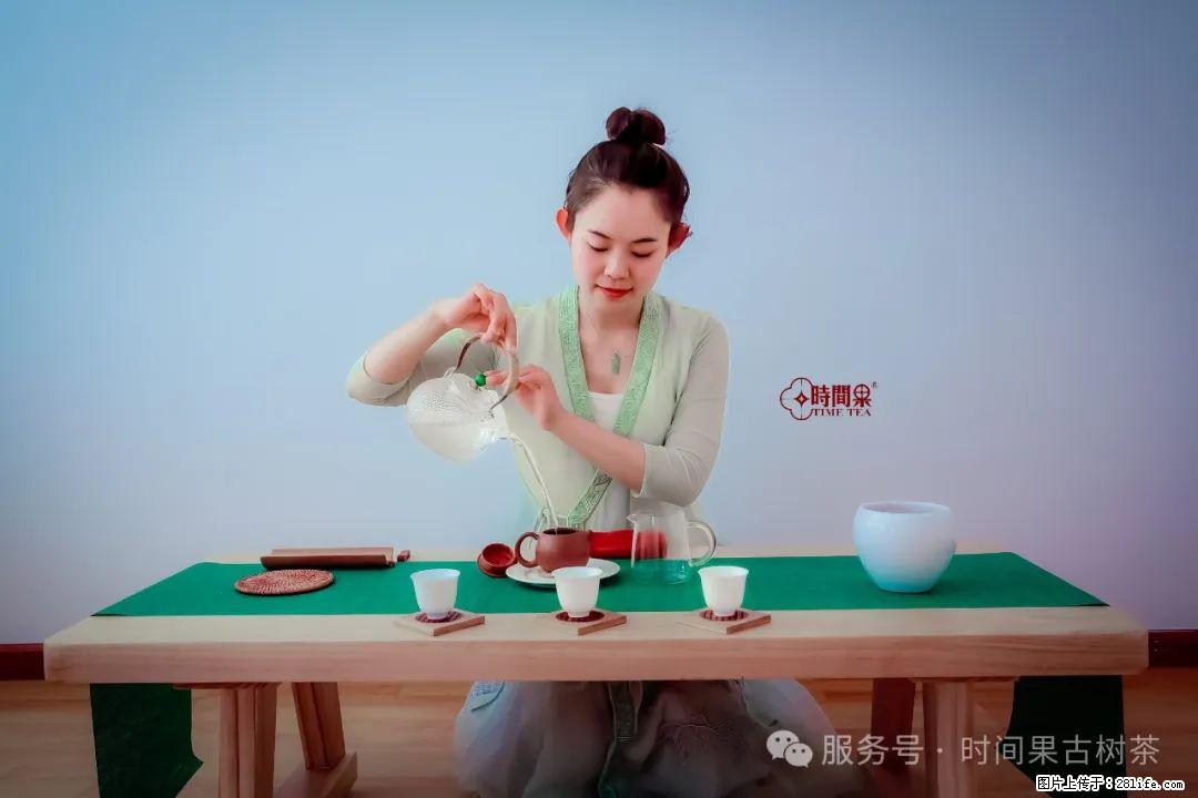 时间果百年古树龙珠普洱生茶 - 购物交流 - 江门生活社区 - 江门28生活网 jm.28life.net