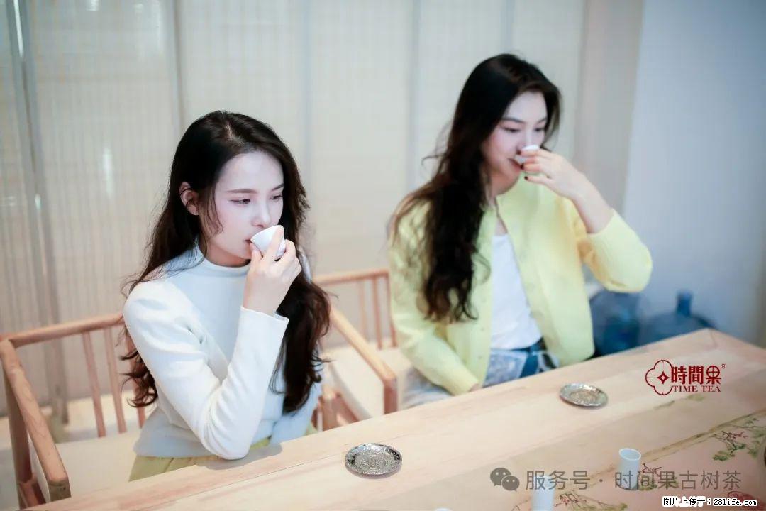 时间果百年古树龙珠普洱生茶 - 购物交流 - 江门生活社区 - 江门28生活网 jm.28life.net