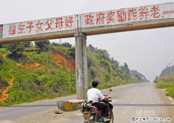 全面两孩政策计划明年元旦起实施 夫妻可延长生育假 - 江门生活资讯 - 江门28生活网 jm.28life.net