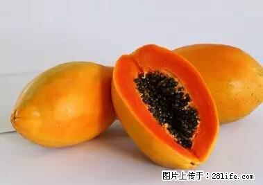 晕车、脚气、牙齿变黄、皮肤粗糙？学会这些三分钟搞定！ - 江门生活资讯 - 江门28生活网 jm.28life.net