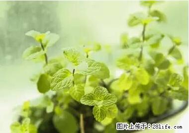 晕车、脚气、牙齿变黄、皮肤粗糙？学会这些三分钟搞定！ - 江门生活资讯 - 江门28生活网 jm.28life.net