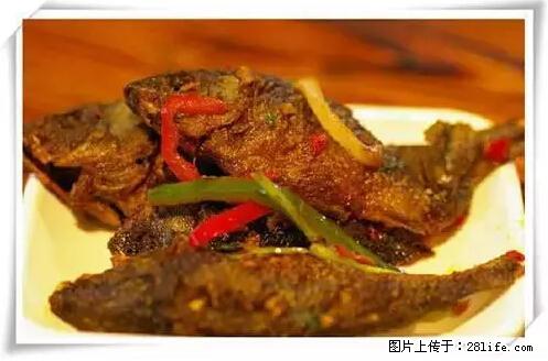 来广西旅游必吃这20道桂菜，不然就白来广西啦！ - 江门生活资讯 - 江门28生活网 jm.28life.net