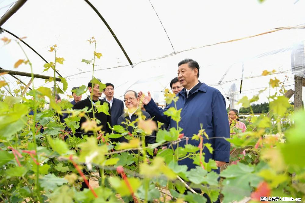 习近平赴广西考察调研 - 江门生活资讯 - 江门28生活网 jm.28life.net