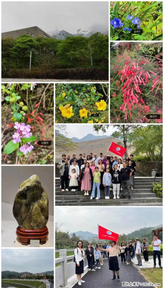 “粤灌文化 美好生活”油茶文化主题活动在广东深圳成功举办 - 江门生活资讯 - 江门28生活网 jm.28life.net