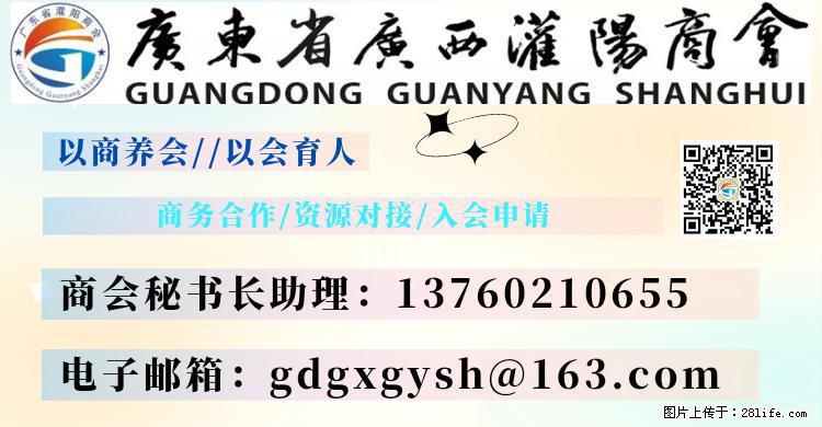 “粤灌文化 美好生活”油茶文化主题活动在广东深圳成功举办 - 江门生活资讯 - 江门28生活网 jm.28life.net