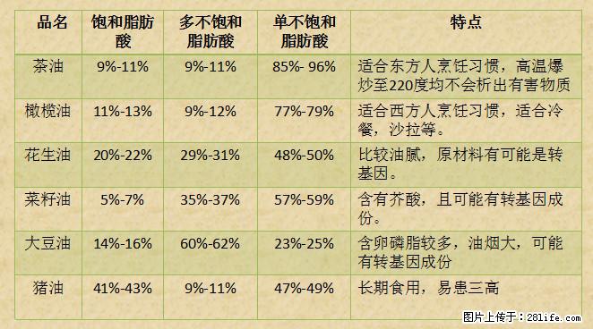 揭秘茶油的5大核心营养成分！被称为人体健康的“守护盾”！ - 江门生活资讯 - 江门28生活网 jm.28life.net