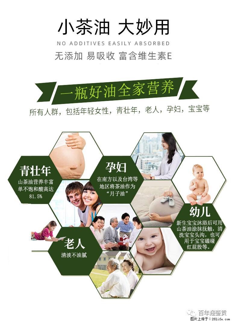 世界没有真相，只有认知，最好的食用油是中国的山茶油！ - 江门生活资讯 - 江门28生活网 jm.28life.net