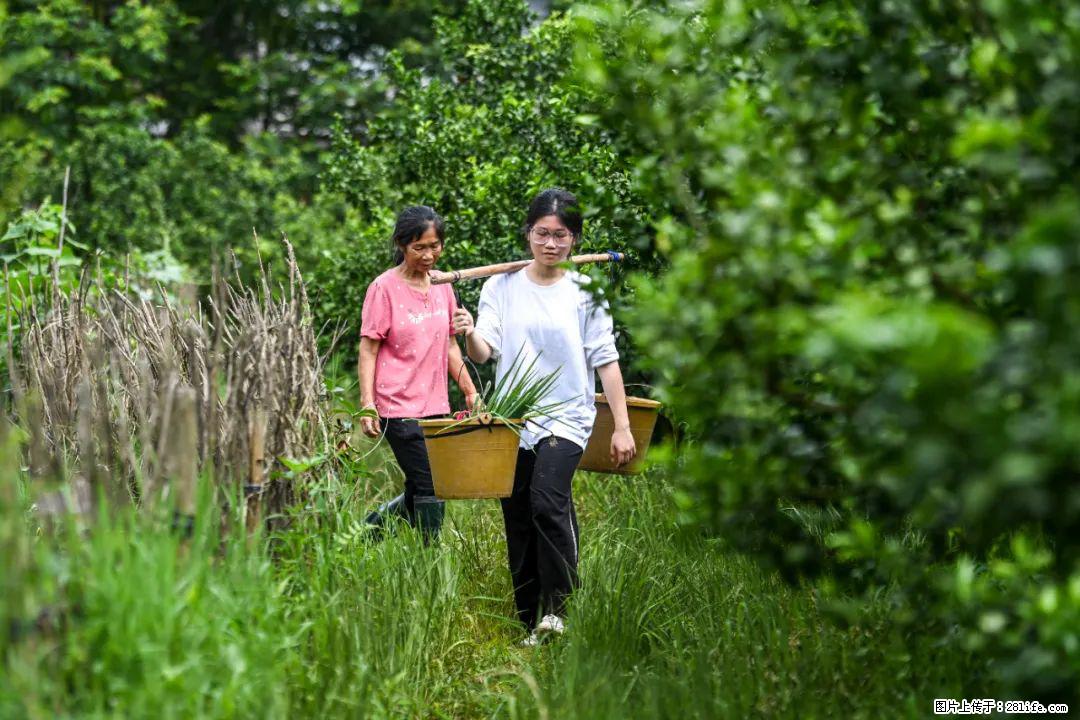 全网追的“扁担女孩”，找了一份暑假工，时薪12元 - 江门生活资讯 - 江门28生活网 jm.28life.net