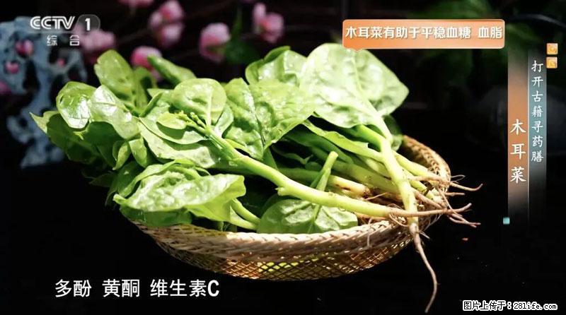 比牛奶补钙还厉害！凉血解毒、稳血糖...这菜冬天必吃，很多人却当草 - 江门生活资讯 - 江门28生活网 jm.28life.net