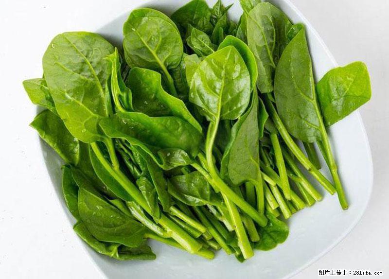 这些蔬菜是“天然钙片”，这6种被医生重点推荐 - 江门生活资讯 - 江门28生活网 jm.28life.net